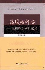 温暖的锋芒  王兆胜学术自选集