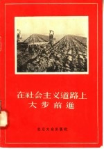 在社会主义道路上大步前进