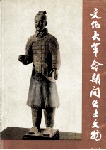文化大革命期间出土文物  2