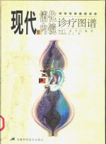 现代消化内镜诊疗图谱