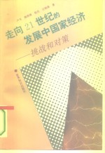 走向21世纪的发展中国家经济  挑战和对策