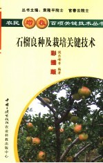 石榴良种及栽培关键技术  彩插版