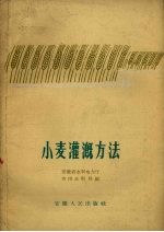 小麦灌溉方法