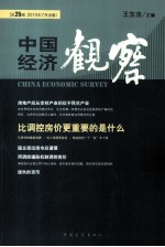 中国经济观察  2010年07月  总第25辑