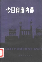 今日印度内幕