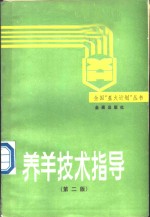 养羊技术指导
