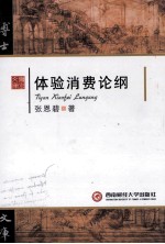体验消费论纲
