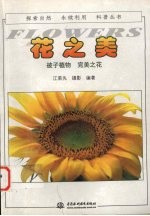 花之美  被子植物  完美之花