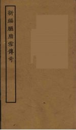 新编胭脂雪传奇  全