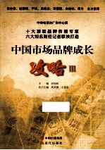 中国市场品牌成长攻略  3
