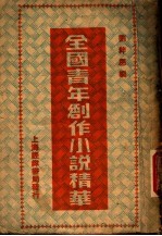全国青年创作小说精华