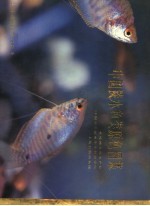 中国淡水鱼类原色图集  第2集