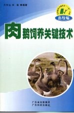 肉鹅饲养关键技术