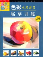 色彩水果蔬菜临摹训练