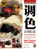 色彩单个静物  调色训练法