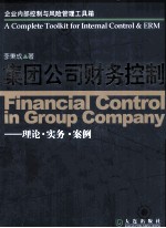 集团公司财务控制  理论·实务·案例