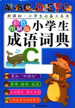 小学生成语词典  彩色图解版