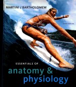 ESSENTIALS OF ANATOMY & PHYSIOLOGY  FIFTH EDITION