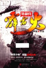 特种兵系列  霹雳火