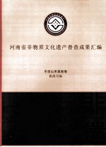 河南省非物质文化遗产普查成果汇编  平顶山市类别卷  民间习俗  6