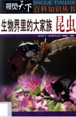 生物界里的大家族  昆虫