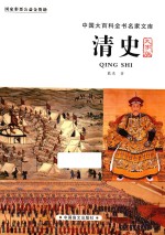 中国大百科全书名家文库  清史  大字版