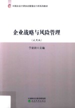 企业战略与风险管理  试用版