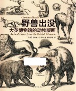 野兽出没  大英博物馆的动物版画