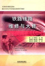 天津市高等职业院校提升办学水平项目建设成果系列教材  铁路线路维修与大修