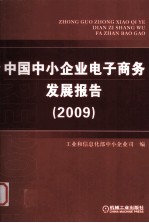 中国中小企业电子商务发展报告  2009