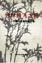 竹林腾飞之路  竹林村改革开放十年