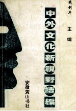 中外文化新视野续编  第四分册