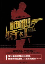 神秘特工