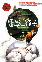 雷鸟红领子  西顿动物文学经典