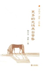 “字码头”读库  更多的光线来自黄昏