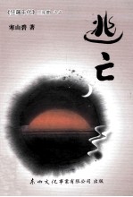 《狂飙年代》三部曲之二  逃亡
