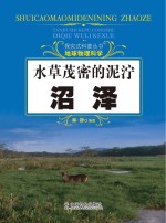 水草茂密的泥泞 沼泽
