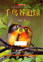 千鸟谷追踪  影像青少版