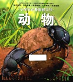 小学生必备图解百科  动物