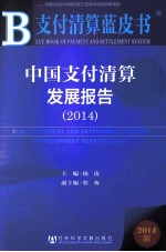 中国支付清算发展报告  2014