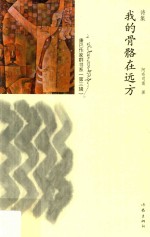 康巴作家群书系  我的骨骼在远方  诗集
