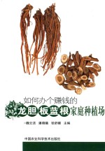 如何办个赚钱的龙胆  板蓝根家庭种植场