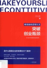 蜂巢创业系列丛书  突破创业瓶颈