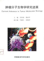 肿瘤分子生物学研究进展  '96北京国际肿瘤分子生物学学术会议论文汇编