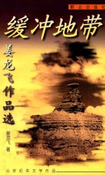 缓冲地带  姜龙飞作品选