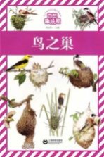 自然趣玩屋  鸟之巢
