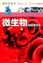 神奇的世界  微生物的秘密生活