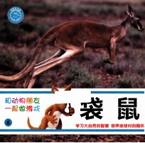 和动物朋友一起做游戏  6  袋鼠