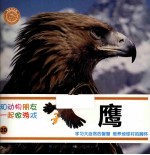 和动物朋友一起做游戏  20  鹰
