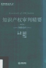 知识产权审判精要  第2版
